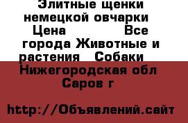 Элитные щенки немецкой овчарки › Цена ­ 30 000 - Все города Животные и растения » Собаки   . Нижегородская обл.,Саров г.